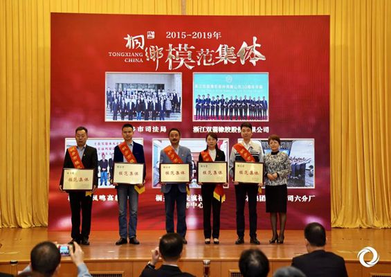 公司榮獲桐鄉(xiāng)市“模范集體”榮譽(yù)稱號(hào)